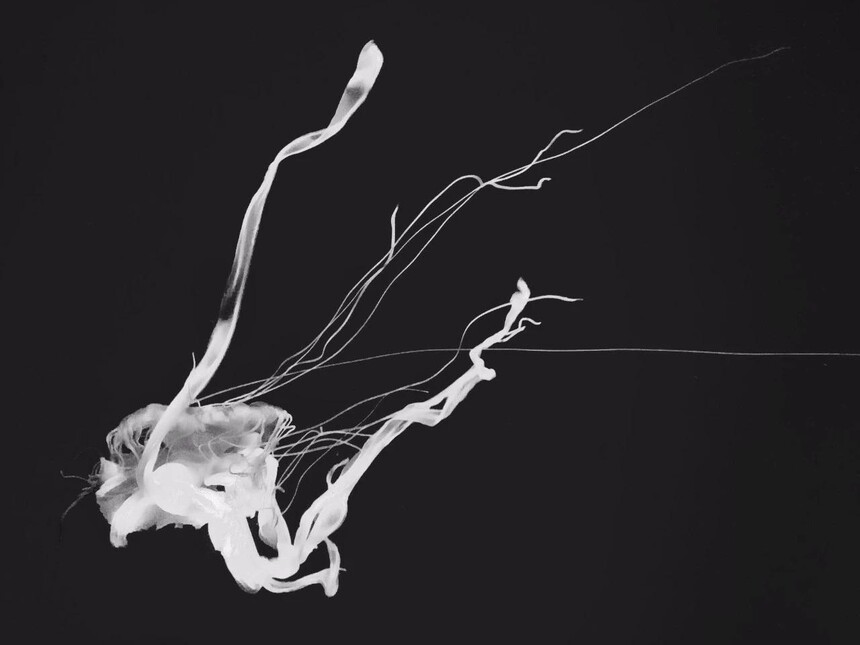 ɶѯר_ɶƽ֢õҽ_ɶѯ