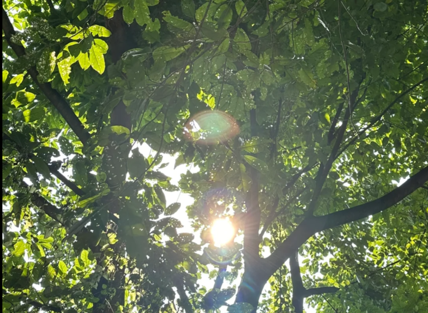 ΢ͼƬ_20240508160247.png