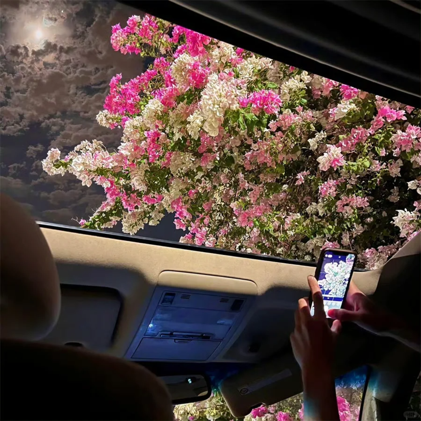 ΢ͼƬ_20240513152503.png
