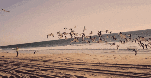 ΢ͼƬ_20241028100452.gif