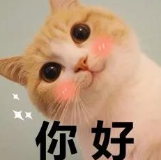 111111.png