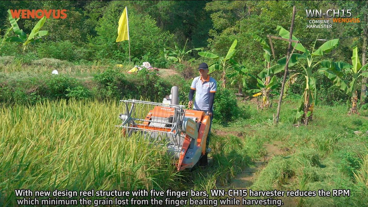 Image_20250115155429.png