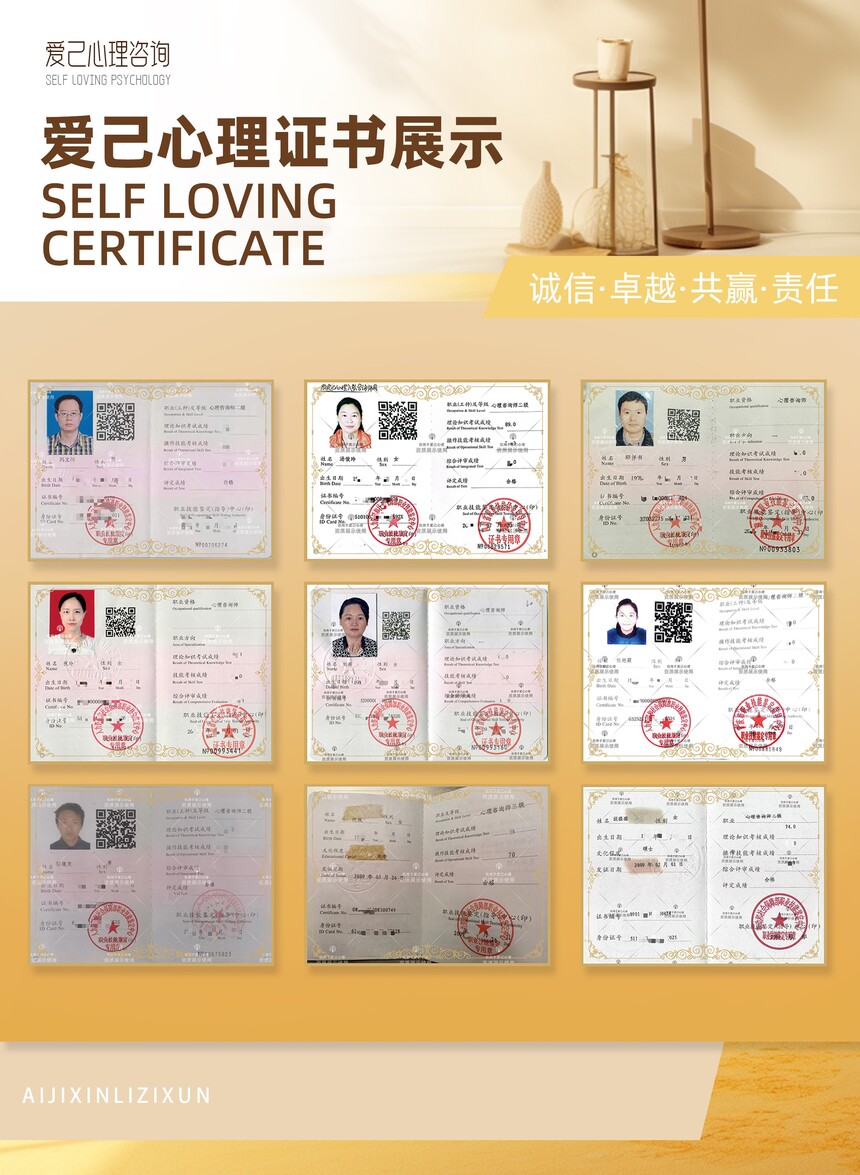 ɶ䱩ѯ_ɶ赼_ɶΣԤ