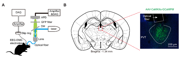 1-200911130A32R.png