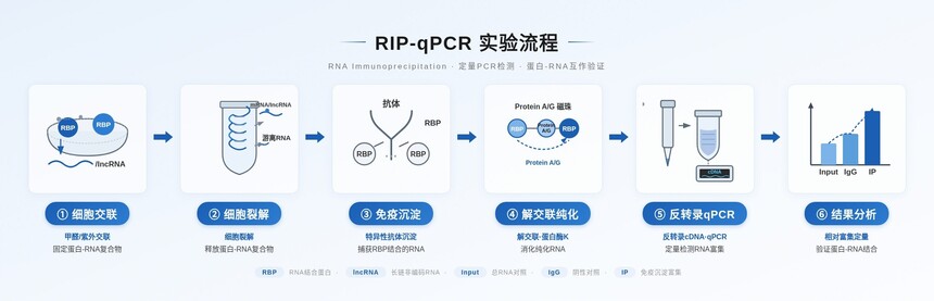 1787213107564992.jpeg 豆包.jpeg