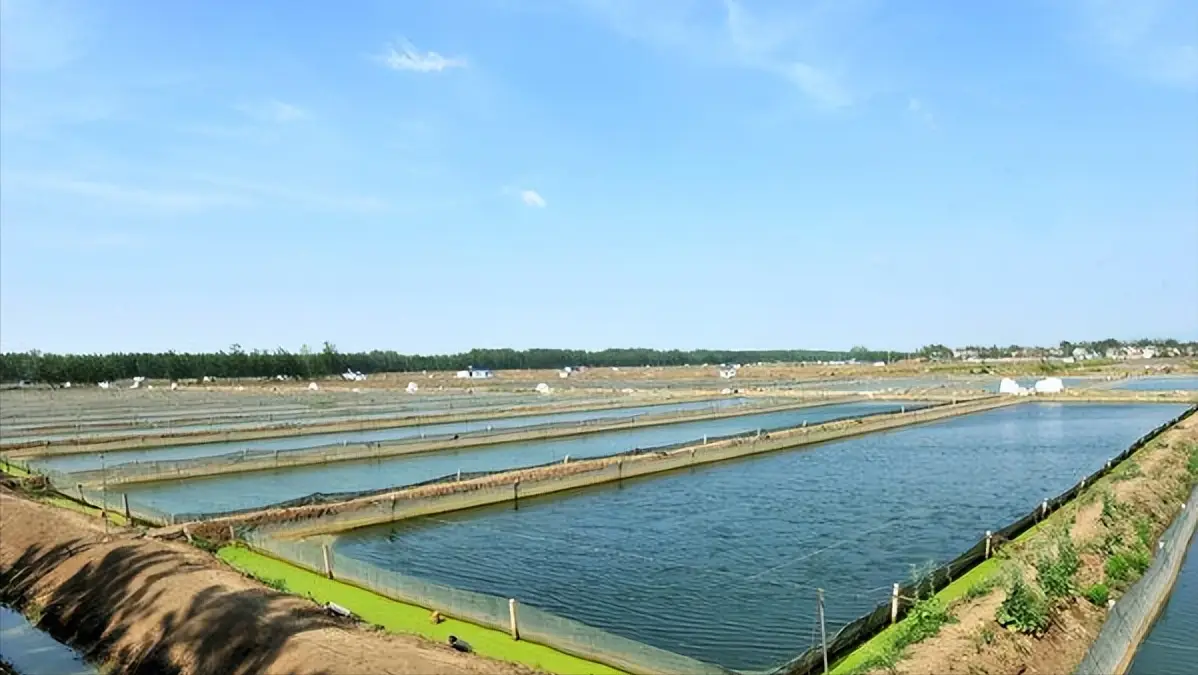 1761208343607540.png 1da637b9b24d4968a4f44b3ca744fa67.png