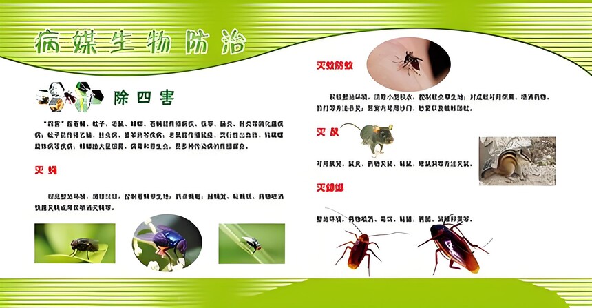 1749595508629738.jpg 病媒生物防治图片.jpg