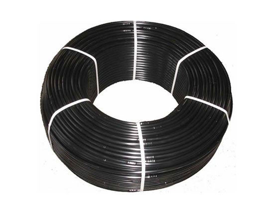 1-210114104143246.jpg