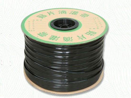 1-2101142109331O.jpg
