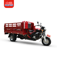 DY250ZH-2D( Yunli Ti