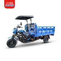 DY250ZH-2D( Yunli Ti