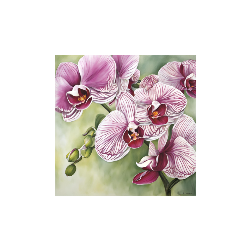 Ź(6).png