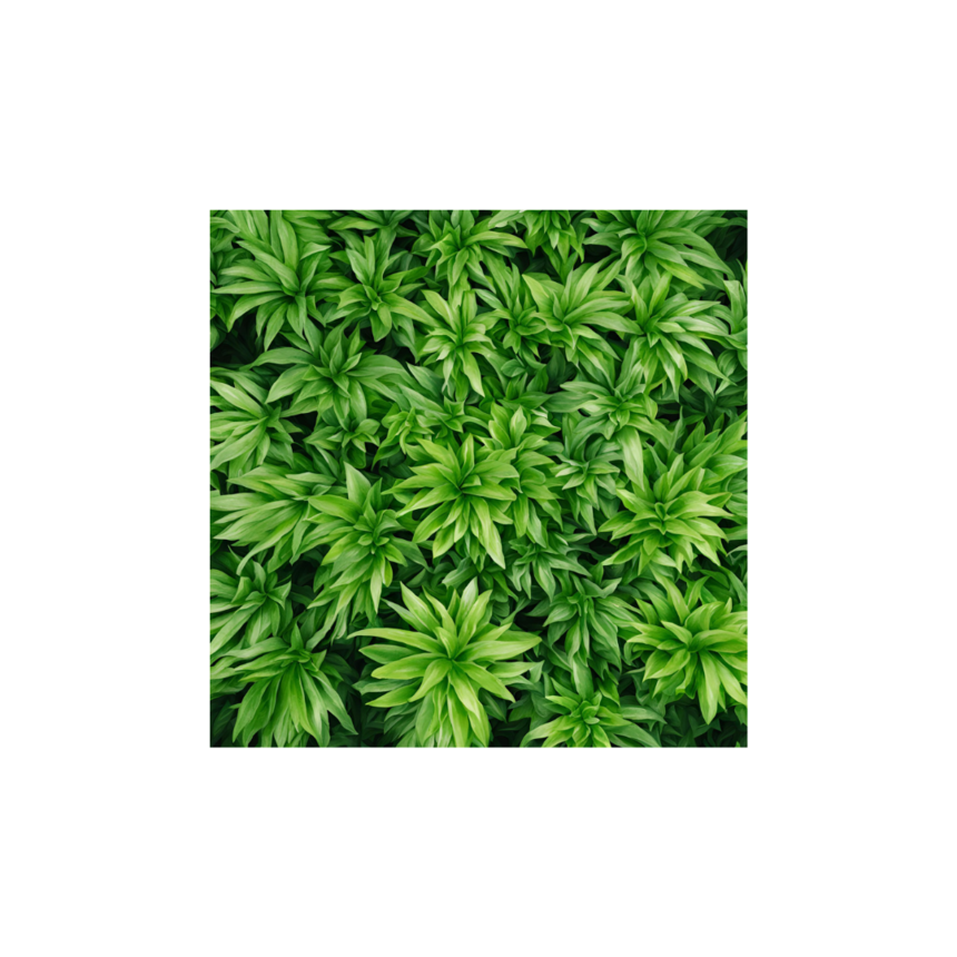 Ź(8).png