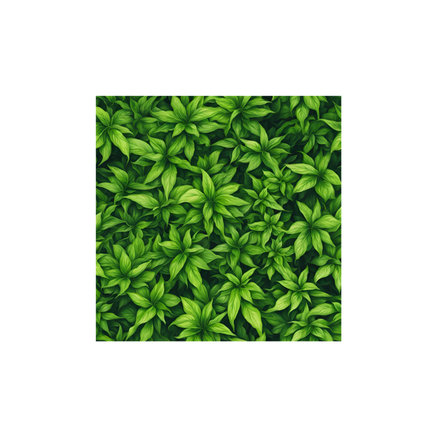 Ź(1).png