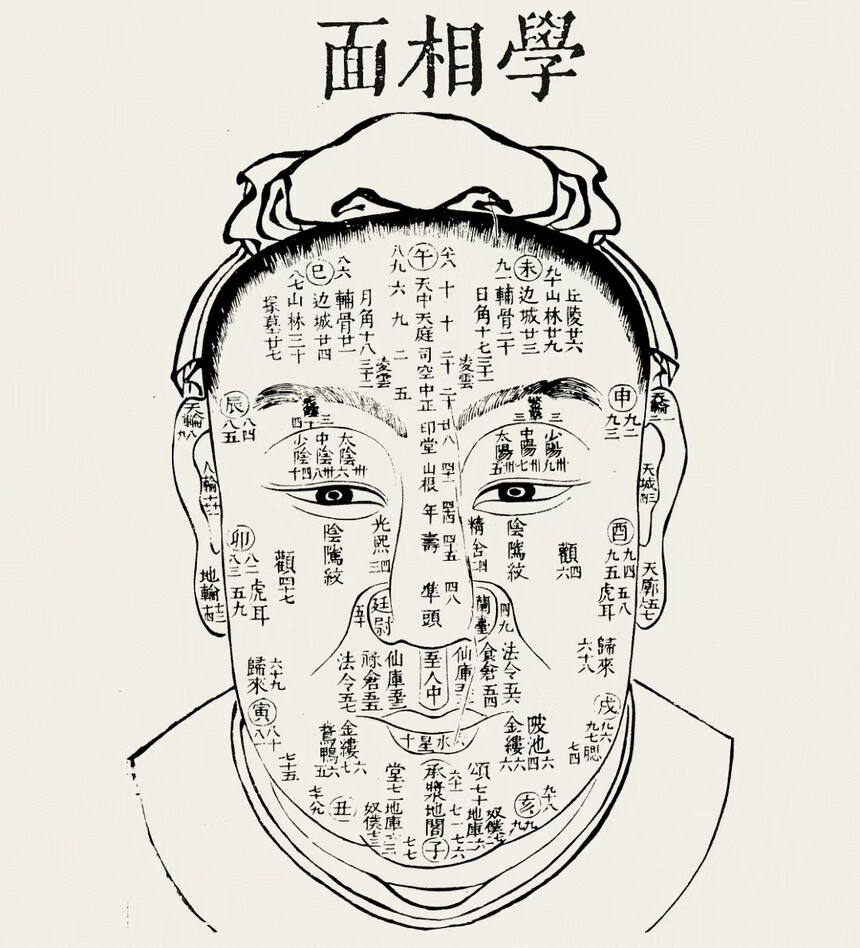1751957829226.jpg