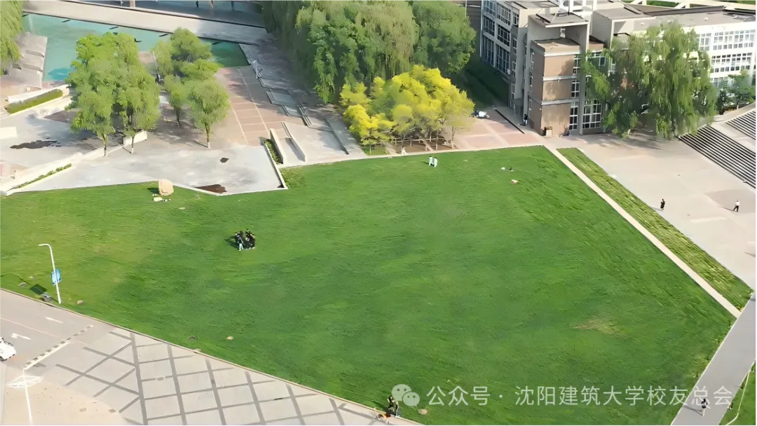 1781365794683501.png 图片6.png