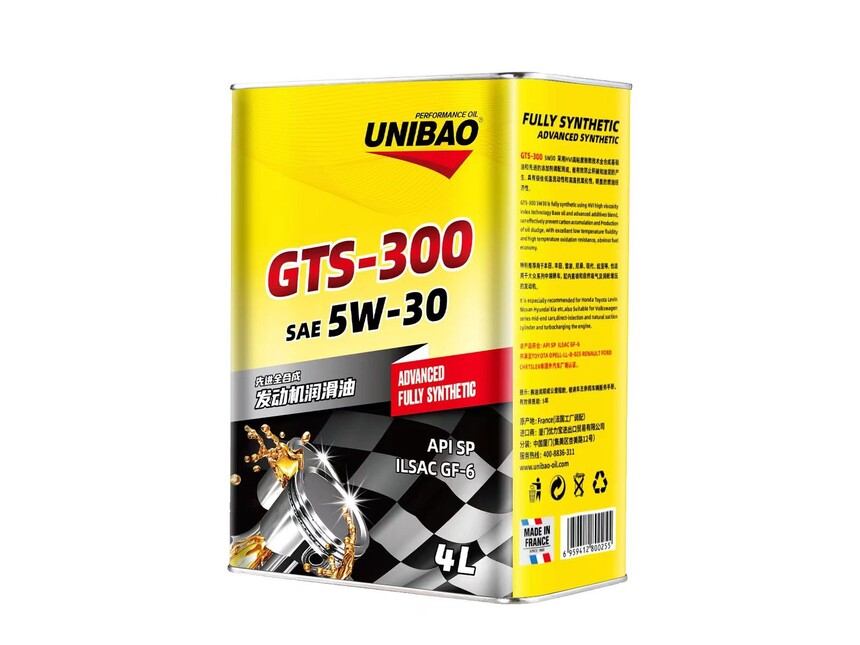 GTS-300-5W-30.jpg