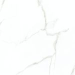 GG6Y039