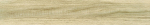 GW102E207