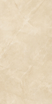 GG126B019