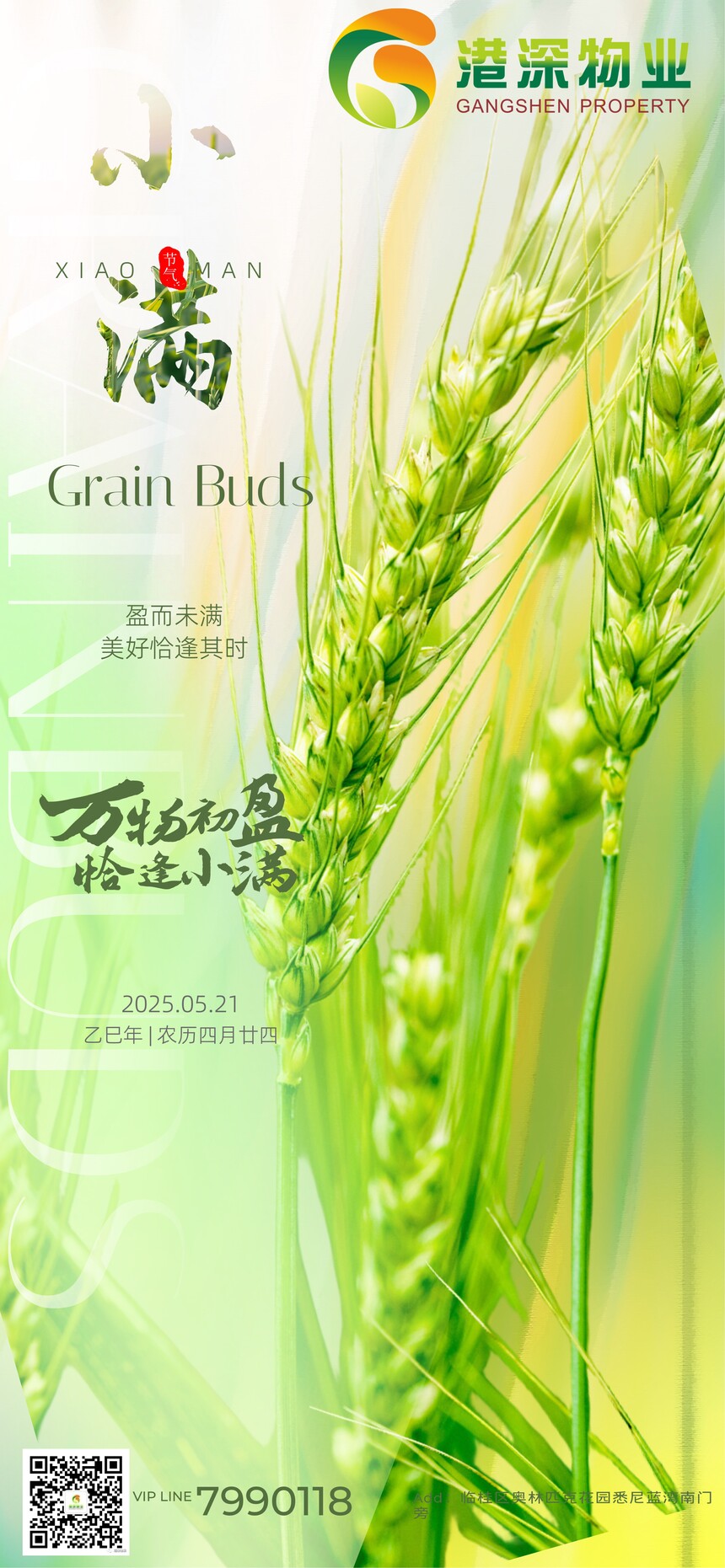 小满.jpg