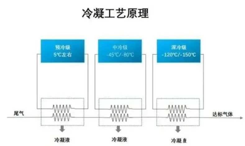 1716364858906612.jpg 38e7e92d96deb7aa4bcebc118f66d95b.jpg