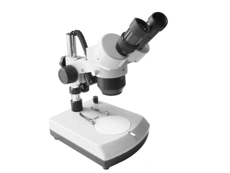 microscopy