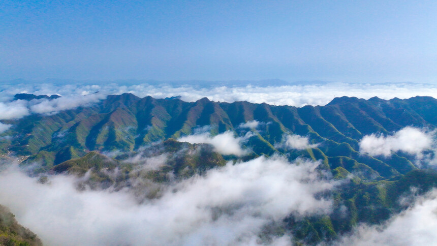 DJI_20240414090136_0004_D.jpg
