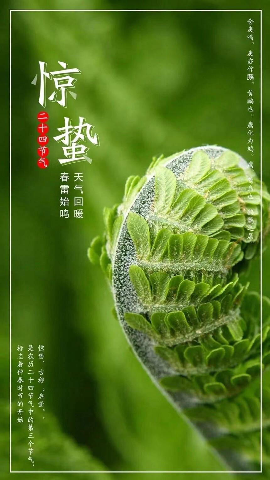 ΢ͼƬ_20240305190319.jpg
