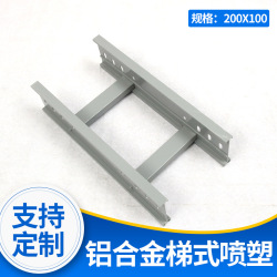 熱鍍鋅電纜梯式橋架可定製大跨距機房金屬電線(xiàn)電纜托盤梯(tī)式橋架