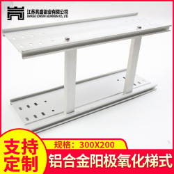 熱鍍鋅機房建築工地電纜托盤(pán)橋(qiáo)架加工定製(zhì)梯形金(jīn)屬電線(xiàn)槽防火防水