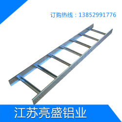 熱鍍鋅機房建築工地電纜托盤橋(qiáo)架加工(gōng)定製梯(tī)形金屬電線槽防火防水