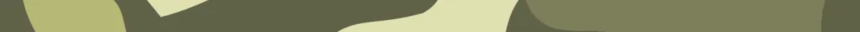 640.webp.png