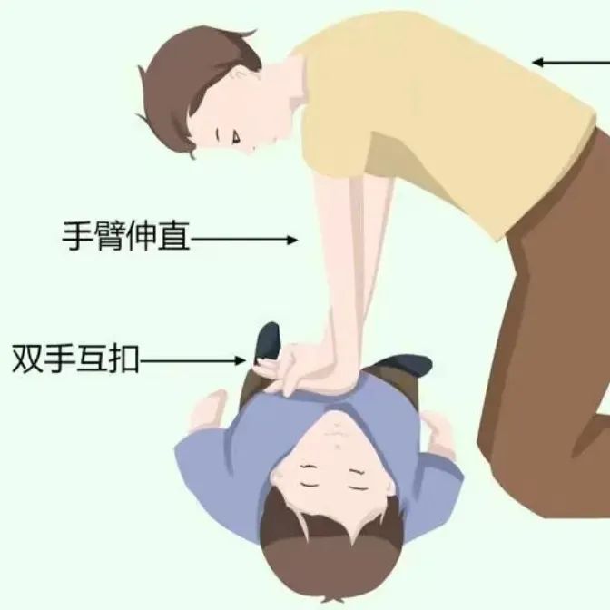 1744355232787724.jpg 640 (17).jpg