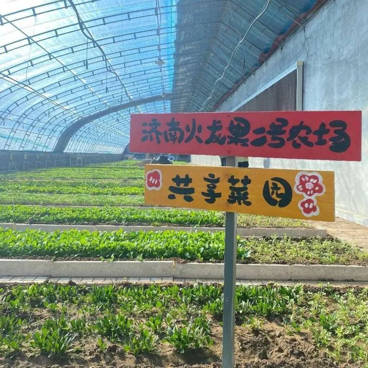 1749632515108465.jpg 640 (9).jpg