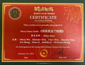 Honorary qualificati