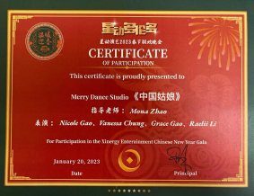 Honorary qualificati