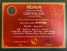 Honorary qualificati