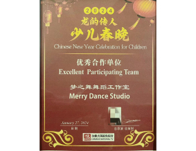 Honorary qualificati