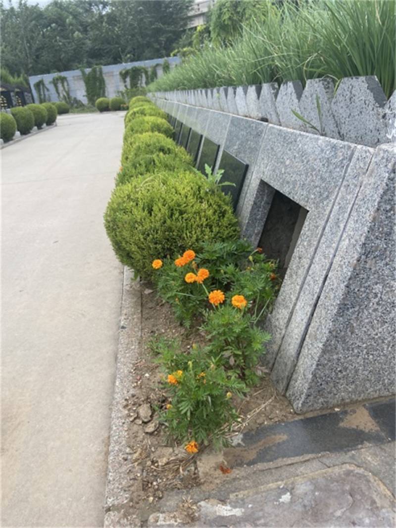 绰ѯ (17).jpg