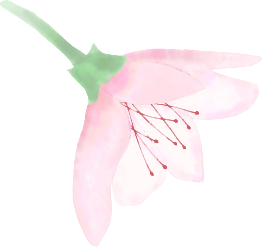 640 (3).png