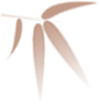 13.png