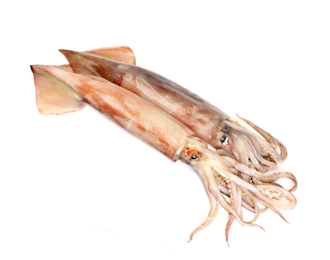QQͼ20180818163946.png