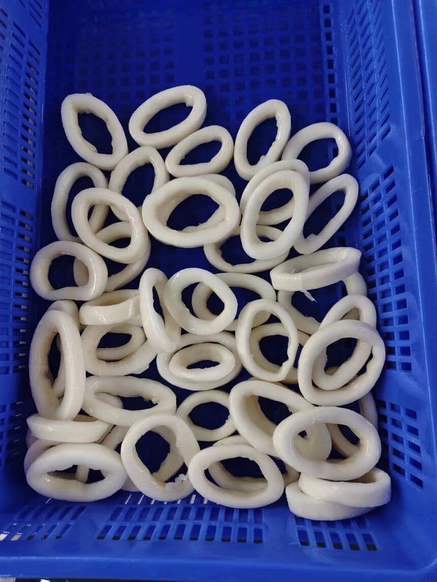 giant squid ring1.jpg