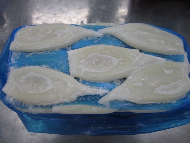 thumbnail_illex squid tube 24+ (1).jpg