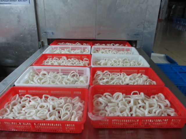 squid ring1.jpg