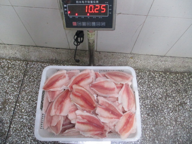 1774246942411799.jpg IMG_0629.JPG