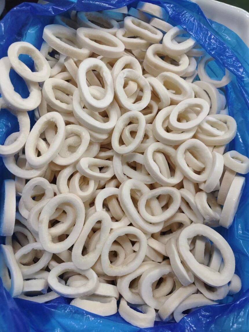 giant squid ring2.jpg