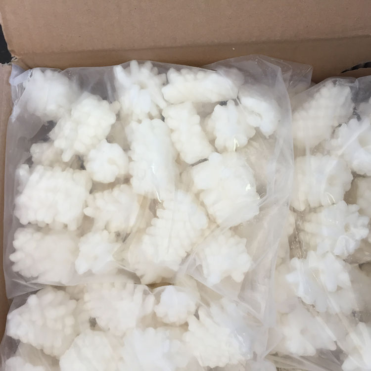 giant squid flower1.jpg