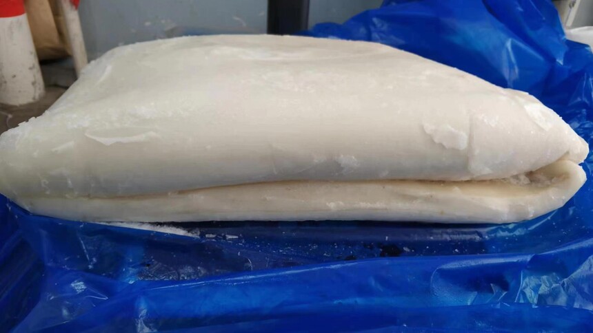 giant squid fillet 6.jpg